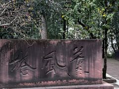 -棠湖公园