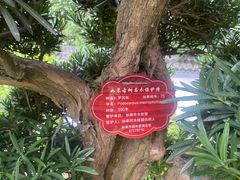 -水绘园