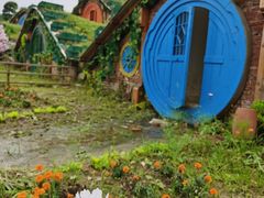 -武汉紫薇都市田园