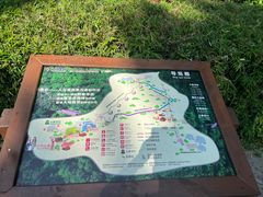 -野象谷景区
