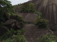 -玉苍山国家森林公园
