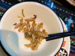 -昆虫窝子·特色云南菜(拓东路总店)