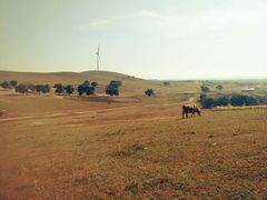 -塞罕坝国家级自然保护区