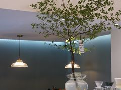 -SAFARI COFFEE