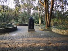 -上海佘山国家森林公园天马山园