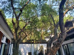 -楼外楼(玉泉店)