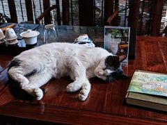 -行人小筑·茶馆(岑村火炉山分店)