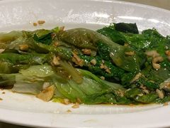 -肥猫(义乌万达店)