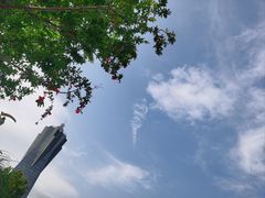 -西湖文化广场