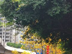 -晓港公园