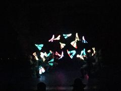 -珠海横琴长隆《卡卡虎奇遇记》