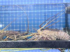 -醉壹号海鲜大排档(厦门美食地标店)