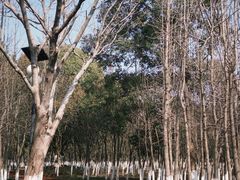 -艾溪湖湿地公园