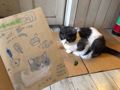 -海边的猫和咖啡馆