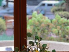 -翠贝卡&Mama Kelly Brunch Coffee(河西店)