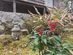 -三千院
