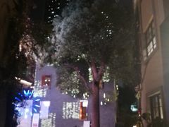-徐家汇源景区-衡山坊
