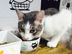 -小时光咖啡馆(开森度假森林店)