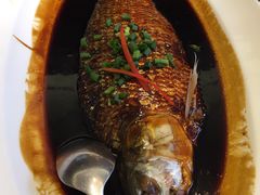 -舜泉海鲜(百官店)