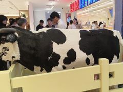 -红星前进面包牛奶公司(君太店)