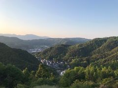 -桑洲油菜花景区
