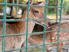 -八景休閒山莊  廣東十大名山莊