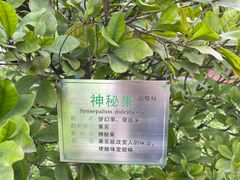 -广州神农草堂中医药博物馆