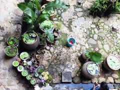 -云水谣景区-土楼之光文化园