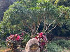 -中国科学院西双版纳热带植物园