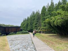 -同里国家湿地公园