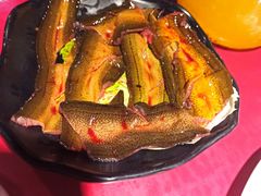 -二荆条·蜀鲜汇城市森林火锅