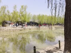 -杨柳青庄园