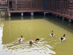 -菜根香土菜馆(文昌东路店)