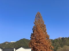 -九华山风景区