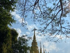 -西双版纳勐泐文化旅游区