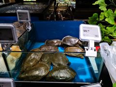 水产区-盒马鲜生(馥邦国际店)