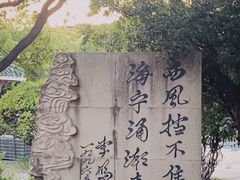 -观潮胜地公园