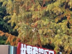 -同里国家湿地公园