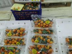 -诚实果品批发行(三星路店)