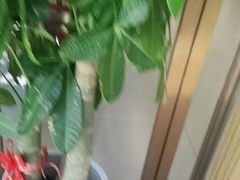 -常兴顺·小吃·家常菜(常营店)