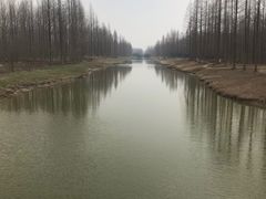 -黄海国家森林公园