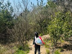 -南北湖风景区