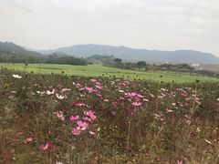 -光明小镇欢乐田园