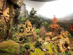 -陕西自然博物馆