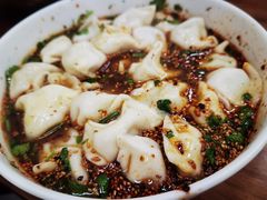 酸汤牛肉水饺-回坊马二饺子馆
