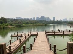 -广西壮族自治区药用植物园