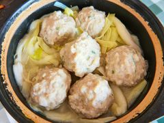 蒲菜肉元-蒲鲜菜馆