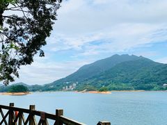 -广州市流溪河国家森林公园