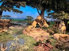 -国家自然博物馆