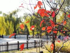 -丰台花园